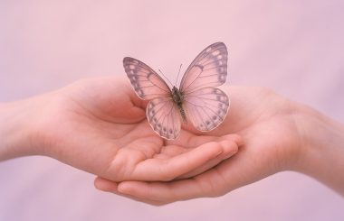 Miskraam begeleiding - Veerle van den Broek de zoektocht naar jezelf